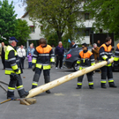 110_6029_jpg-1304466653