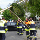 110_6038_jpg-1304466661