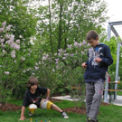 IMG_3555_JPG-1304468618