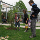 IMG_3557_JPG-1304468620