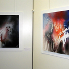 110_5642_JPG-1304470634