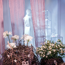 Swarovski Wien, Kärntner Straße: Schaufenster im neuen Look
