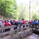 RankweilT_jpg-1304532366