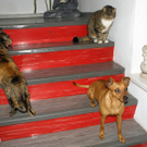 P5040655 - Kopie.JPG