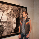 amber-012.jpg