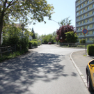 IMG_5785.jpg