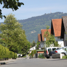 IMG_5787.jpg