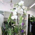 IMG_5767_neu.jpg