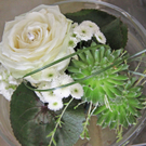 IMG_5776_neu.jpg