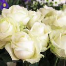 IMG_5750_neu.jpg