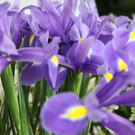 IMG_5751_neu.jpg