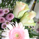 IMG_5752_neu.jpg
