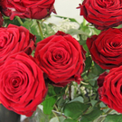 IMG_5755_neu.jpg