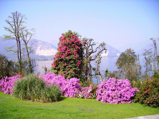 2854-04-23-36-3014_jpg-1304633454