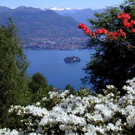 Iso Madre_jpg-1304633709