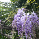 805c51c62c_jpg-1304633629