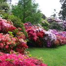 P1110196_JPG-1304634108