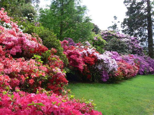 P1110196_JPG-1304634108