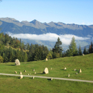 Steinkreise_Tschengla_Alpenregion Bludenz.jpg