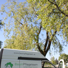 Baum Pflege Schwarzbad 04-05-2011 _22__jpg-1304665306