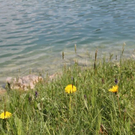 Bilder aus der Mondseeregion 