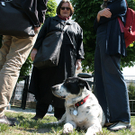 hunde-006.jpg