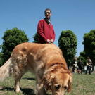 hunde-015.jpg
