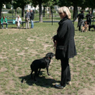 hunde-016.jpg