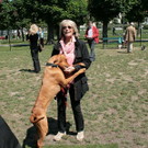 hunde-023.jpg