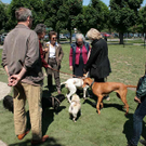 hunde-025.jpg