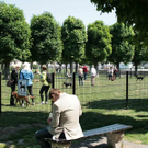 hunde-033.jpg