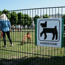 hunde-034.jpg