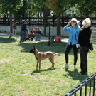 hunde-035.jpg