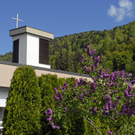 017_bearbeitet-2_jpg-1304688823