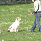 IMG_6784.jpg
