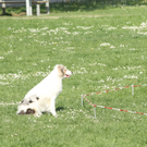 IMG_6777.jpg