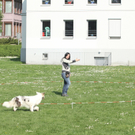 IMG_6775.jpg