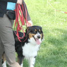 IMG_6848.jpg