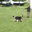 IMG_6846.jpg