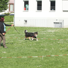 IMG_6838.jpg