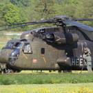 normal_06052011waldbrrlaktivnews2_20_102_.jpg