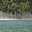 normal_06052011waldbrrlaktivnews2_20_18_.jpg