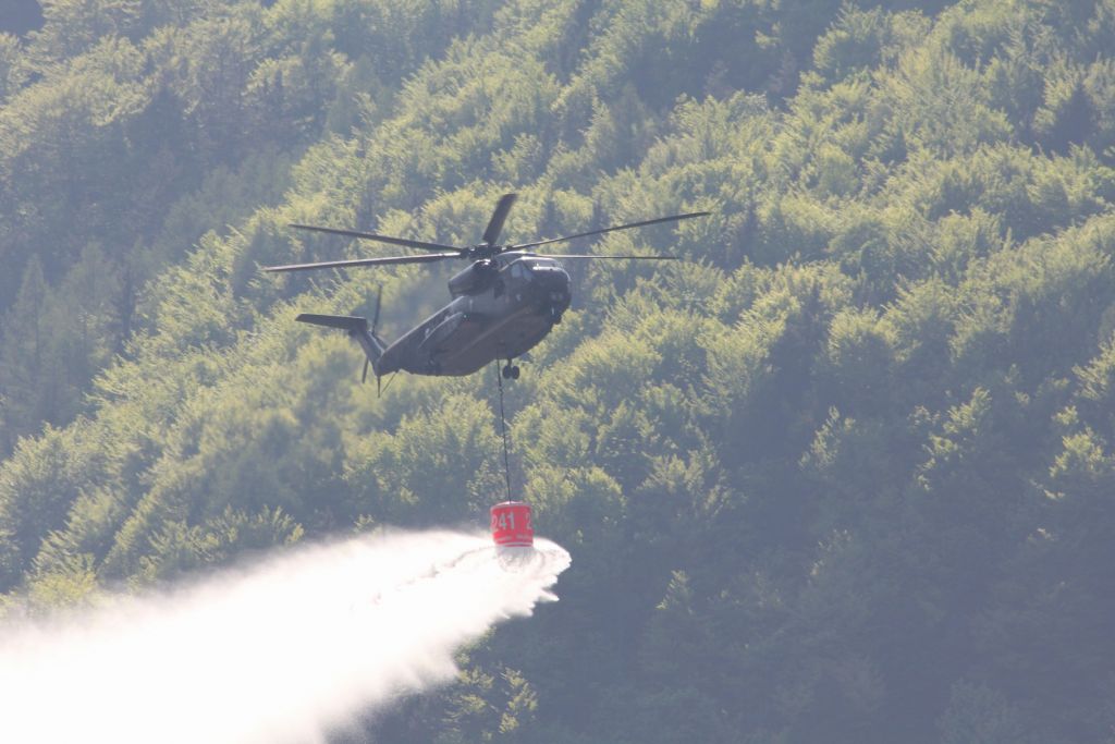 normal_06052011waldbrrlaktivnews2_20_2_.jpg