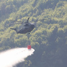 normal_06052011waldbrrlaktivnews2_20_2_.jpg