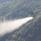 normal_06052011waldbrrlaktivnews2.jpg