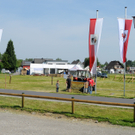 Haflinger 1_jpg-1304776796
