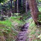 P5070296_JPG-1304786697