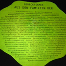 110_3588_JPG-1304806873