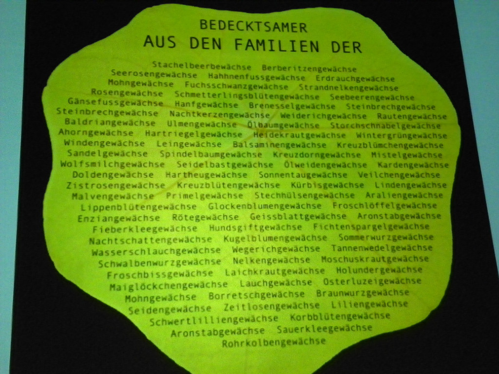 110_3588_JPG-1304806873