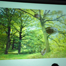 110_3589_JPG-1304806881